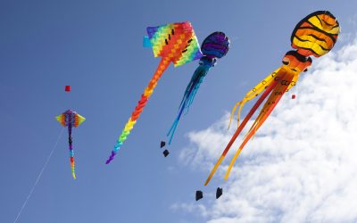 The Capriccio Festival of Kites at Ogunquit Beach with the Folk Music of Andy Happel