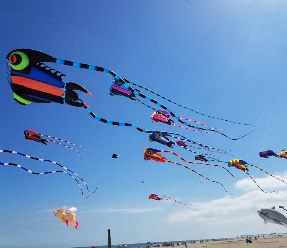 22nd Annual Capriccio Festival of Kites with the Music of Andy Happel