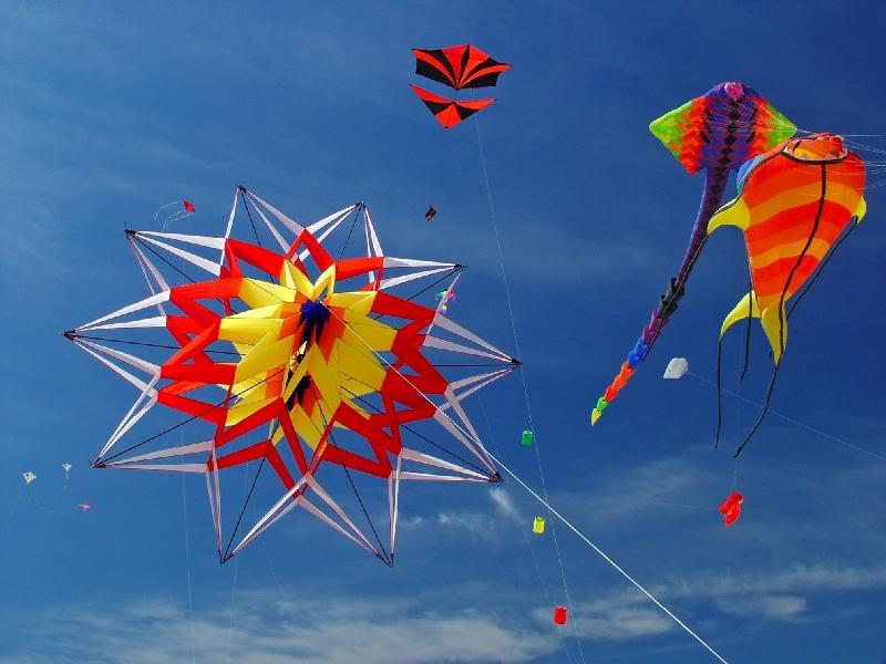 Professional kite flying demonstrations, with huge, multi-dimensional kites, and musical performances are an all-day feature of the festival.